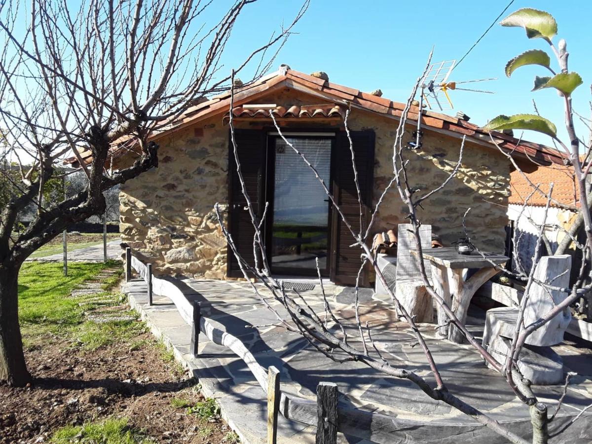 A Casa Do Moinho Διαμέρισμα Pedrógão Pequeno Εξωτερικό φωτογραφία