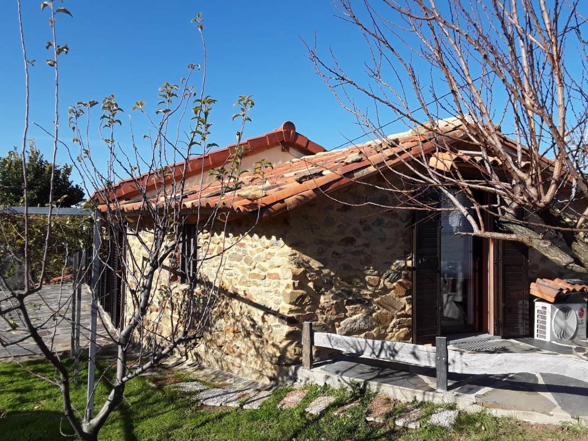 A Casa Do Moinho Διαμέρισμα Pedrógão Pequeno Εξωτερικό φωτογραφία